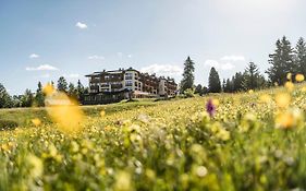 Hotel Steger Dellai Alpe di Siusi